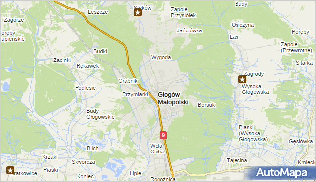 mapa Głogów Małopolski, Głogów Małopolski na mapie Targeo