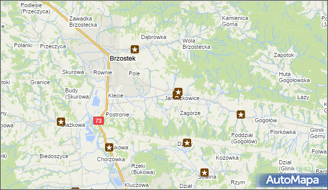 mapa Januszkowice gmina Brzostek, Januszkowice gmina Brzostek na mapie Targeo