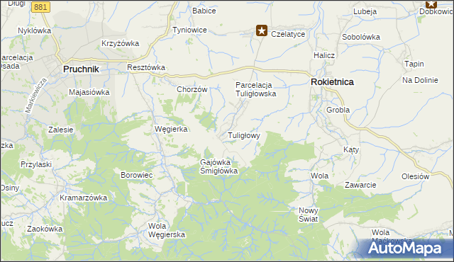 mapa Tuligłowy gmina Rokietnica, Tuligłowy gmina Rokietnica na mapie Targeo