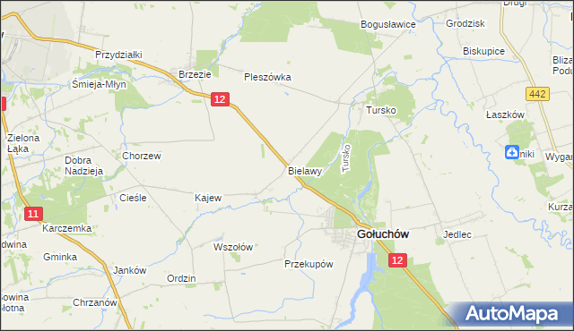 mapa Bielawy gmina Gołuchów, Bielawy gmina Gołuchów na mapie Targeo