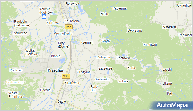 mapa Dobrynin, Dobrynin na mapie Targeo