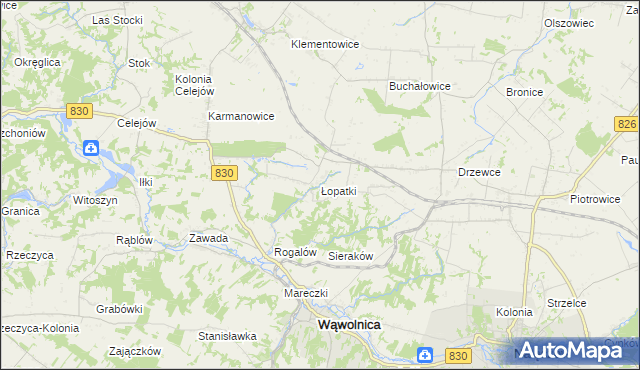 mapa Łopatki gmina Wąwolnica, Łopatki gmina Wąwolnica na mapie Targeo