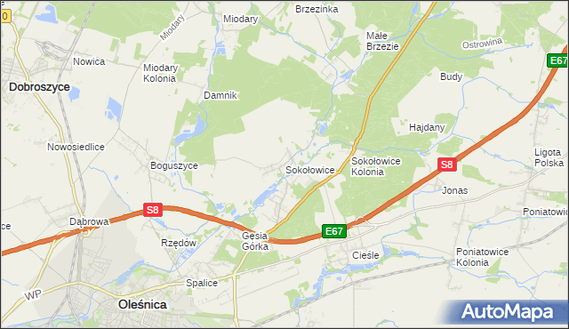 mapa Sokołowice gmina Oleśnica, Sokołowice gmina Oleśnica na mapie Targeo