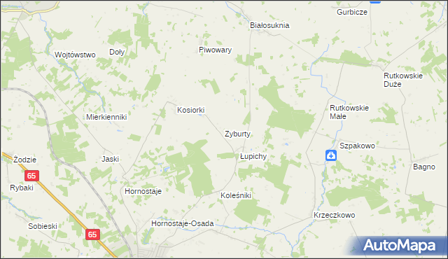 mapa Zyburty, Zyburty na mapie Targeo