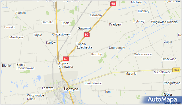 mapa Kozuby gmina Łęczyca, Kozuby gmina Łęczyca na mapie Targeo