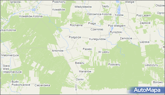 mapa Pasieki gmina Ciepielów, Pasieki gmina Ciepielów na mapie Targeo