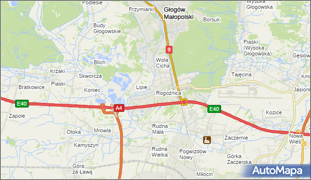 mapa Rogoźnica gmina Głogów Małopolski, Rogoźnica gmina Głogów Małopolski na mapie Targeo