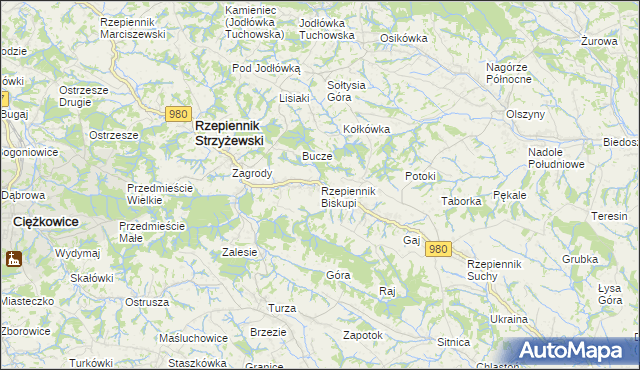 mapa Rzepiennik Biskupi, Rzepiennik Biskupi na mapie Targeo