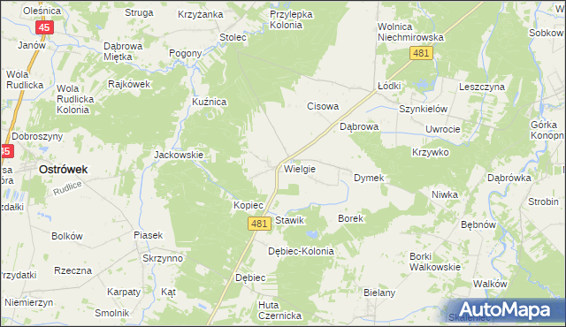 mapa Wielgie gmina Ostrówek, Wielgie gmina Ostrówek na mapie Targeo