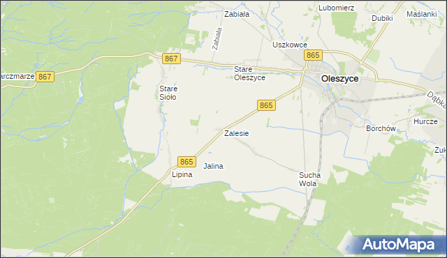 mapa Zalesie gmina Oleszyce, Zalesie gmina Oleszyce na mapie Targeo