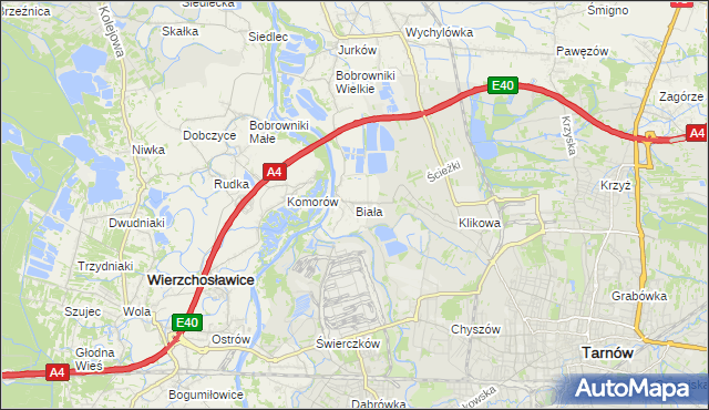 mapa Biała gmina Tarnów, Biała gmina Tarnów na mapie Targeo