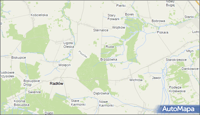 mapa Brzozówka gmina Radłów, Brzozówka gmina Radłów na mapie Targeo