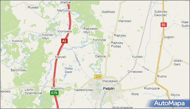 mapa Dębina gmina Pelplin, Dębina gmina Pelplin na mapie Targeo