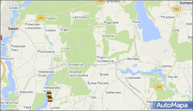mapa Pogoń Gosławicka, Pogoń Gosławicka na mapie Targeo
