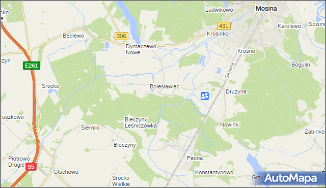 mapa Borkowice gmina Mosina, Borkowice gmina Mosina na mapie Targeo