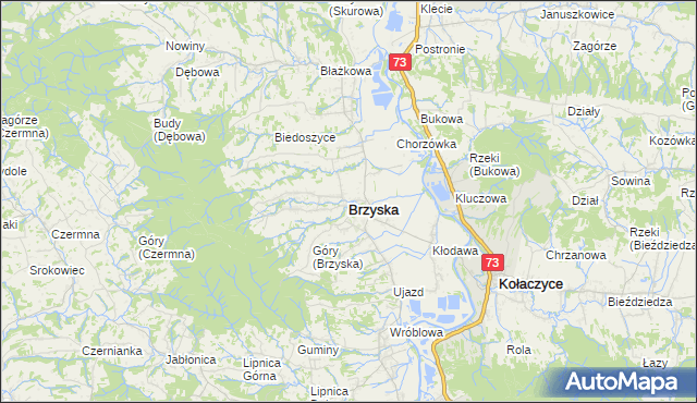 mapa Brzyska, Brzyska na mapie Targeo