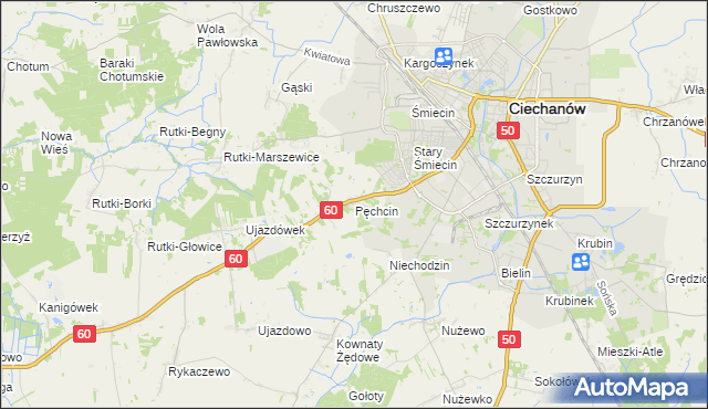 mapa Pęchcin, Pęchcin na mapie Targeo