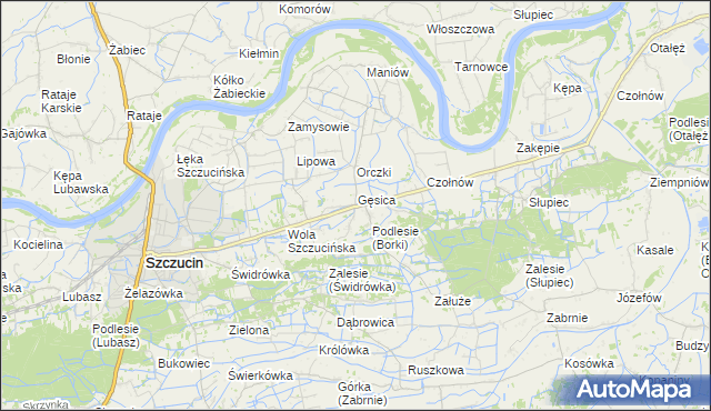 mapa Borki gmina Szczucin, Borki gmina Szczucin na mapie Targeo