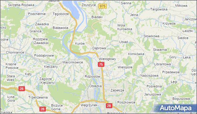 mapa Wielogłowy gmina Chełmiec, Wielogłowy gmina Chełmiec na mapie Targeo