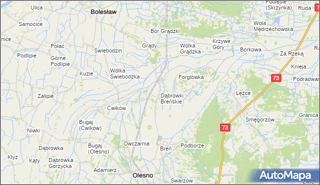 mapa Dąbrówki Breńskie, Dąbrówki Breńskie na mapie Targeo