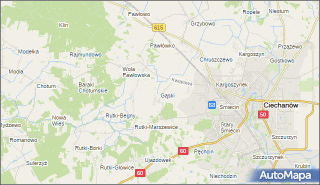 mapa Gąski gmina Ciechanów, Gąski gmina Ciechanów na mapie Targeo