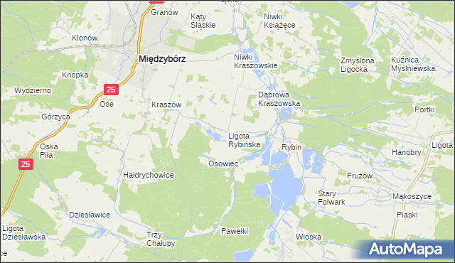 mapa Ligota Rybińska, Ligota Rybińska na mapie Targeo