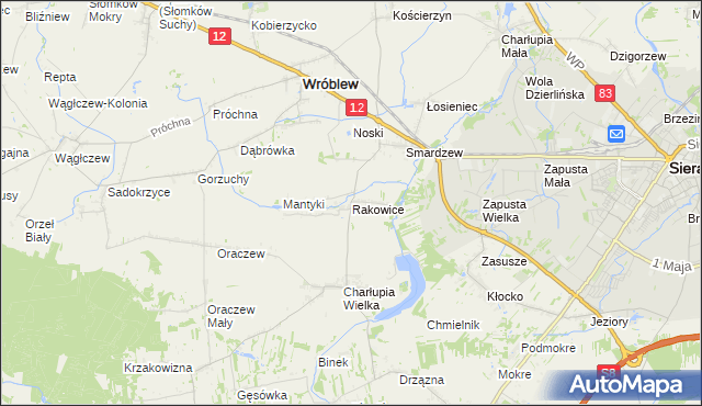 mapa Rakowice gmina Wróblew, Rakowice gmina Wróblew na mapie Targeo