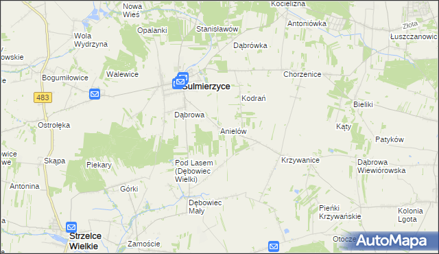 mapa Anielów gmina Sulmierzyce, Anielów gmina Sulmierzyce na mapie Targeo