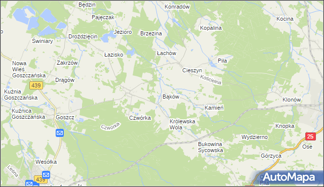 mapa Bąków gmina Międzybórz, Bąków gmina Międzybórz na mapie Targeo