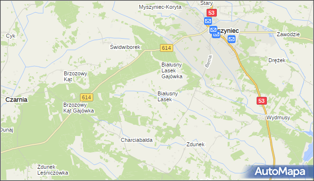 mapa Białusny Lasek, Białusny Lasek na mapie Targeo