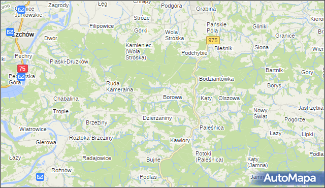 mapa Borowa gmina Zakliczyn, Borowa gmina Zakliczyn na mapie Targeo