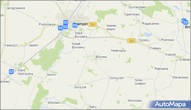 mapa Borowo gmina Czempiń, Borowo gmina Czempiń na mapie Targeo