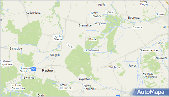 mapa Brzozówka gmina Radłów, Brzozówka gmina Radłów na mapie Targeo