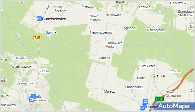 mapa Dębniak gmina Lubochnia, Dębniak gmina Lubochnia na mapie Targeo