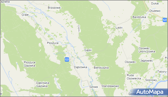 mapa Gąski gmina Lelis, Gąski gmina Lelis na mapie Targeo
