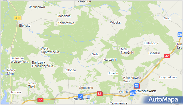mapa Gola gmina Rakoniewice, Gola gmina Rakoniewice na mapie Targeo