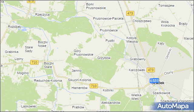 mapa Grzybów gmina Szadek, Grzybów gmina Szadek na mapie Targeo