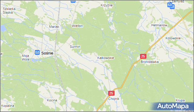 mapa Kałkowskie, Kałkowskie na mapie Targeo