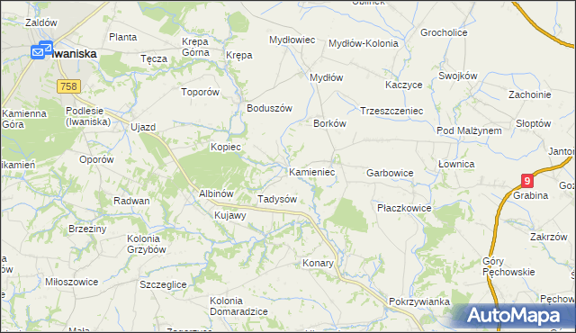 mapa Kamieniec gmina Iwaniska, Kamieniec gmina Iwaniska na mapie Targeo