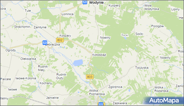 mapa Kołodziąż gmina Wodynie, Kołodziąż gmina Wodynie na mapie Targeo