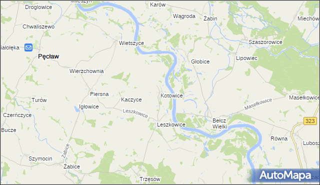mapa Kotowice gmina Pęcław, Kotowice gmina Pęcław na mapie Targeo