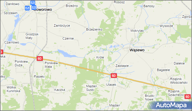 mapa Króle gmina Wąsewo, Króle gmina Wąsewo na mapie Targeo