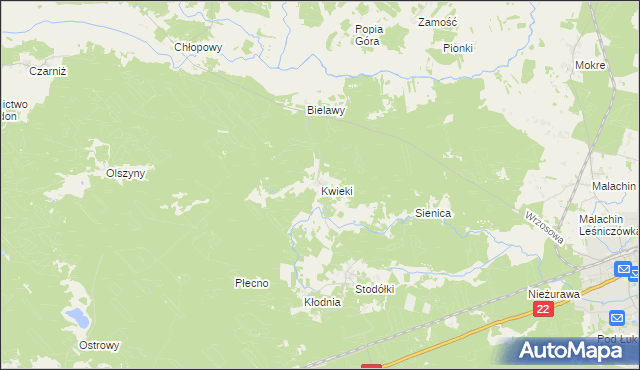 mapa Kwieki, Kwieki na mapie Targeo