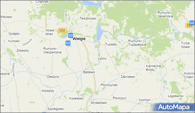 mapa Lipiny gmina Wielgie, Lipiny gmina Wielgie na mapie Targeo
