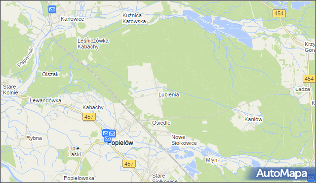 mapa Lubienia gmina Popielów, Lubienia gmina Popielów na mapie Targeo