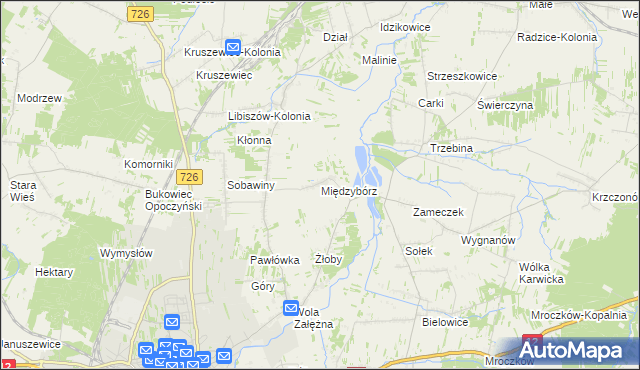 mapa Międzybórz gmina Opoczno, Międzybórz gmina Opoczno na mapie Targeo