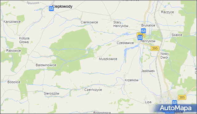 mapa Muszkowice, Muszkowice na mapie Targeo