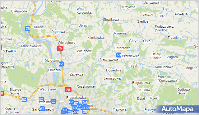 mapa Naściszowa, Naściszowa na mapie Targeo