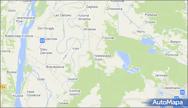 mapa Niedźwiada Duża, Niedźwiada Duża na mapie Targeo