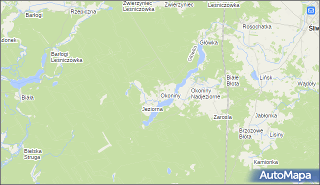 mapa Okoniny gmina Śliwice, Okoniny gmina Śliwice na mapie Targeo